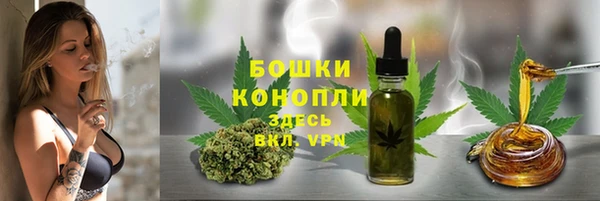 стаф Вяземский