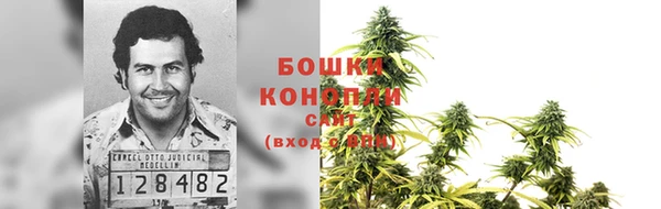 стаф Вяземский