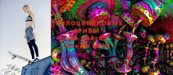 стаф Вяземский