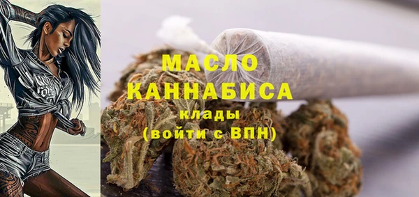 стаф Вяземский