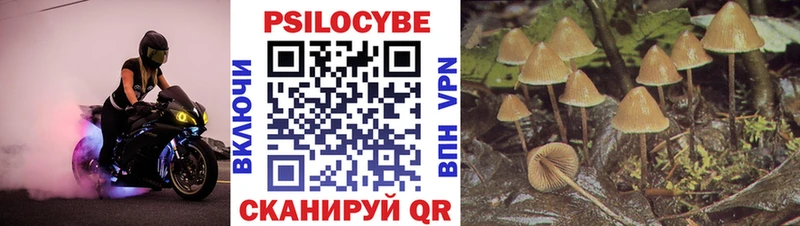 Галлюциногенные грибы прущие грибы  Гаврилов Посад 